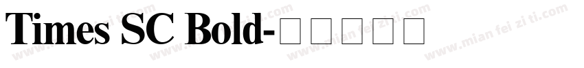 Times SC Bold字体转换